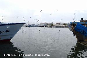 11 SANTA POLA PORT DE PECHE (77)
